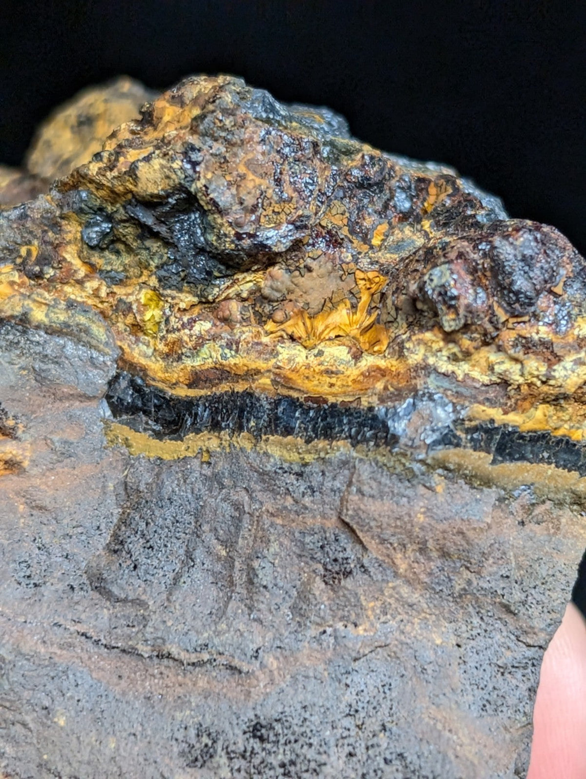 A rugged, layered mineral specimen with striking bands of deep black and vibrant golden-yellow streaks.