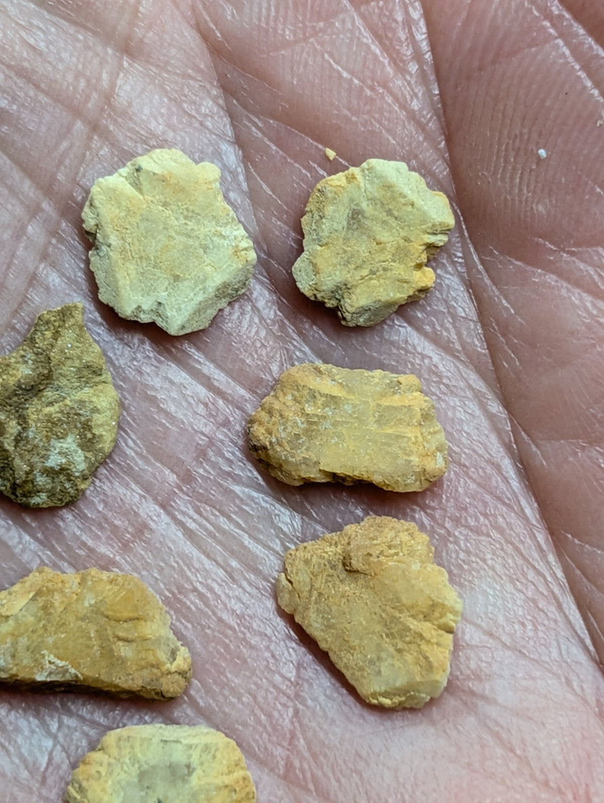 Yellowish-green, irregularly shaped mineral specimens resting in the palm of a hand.