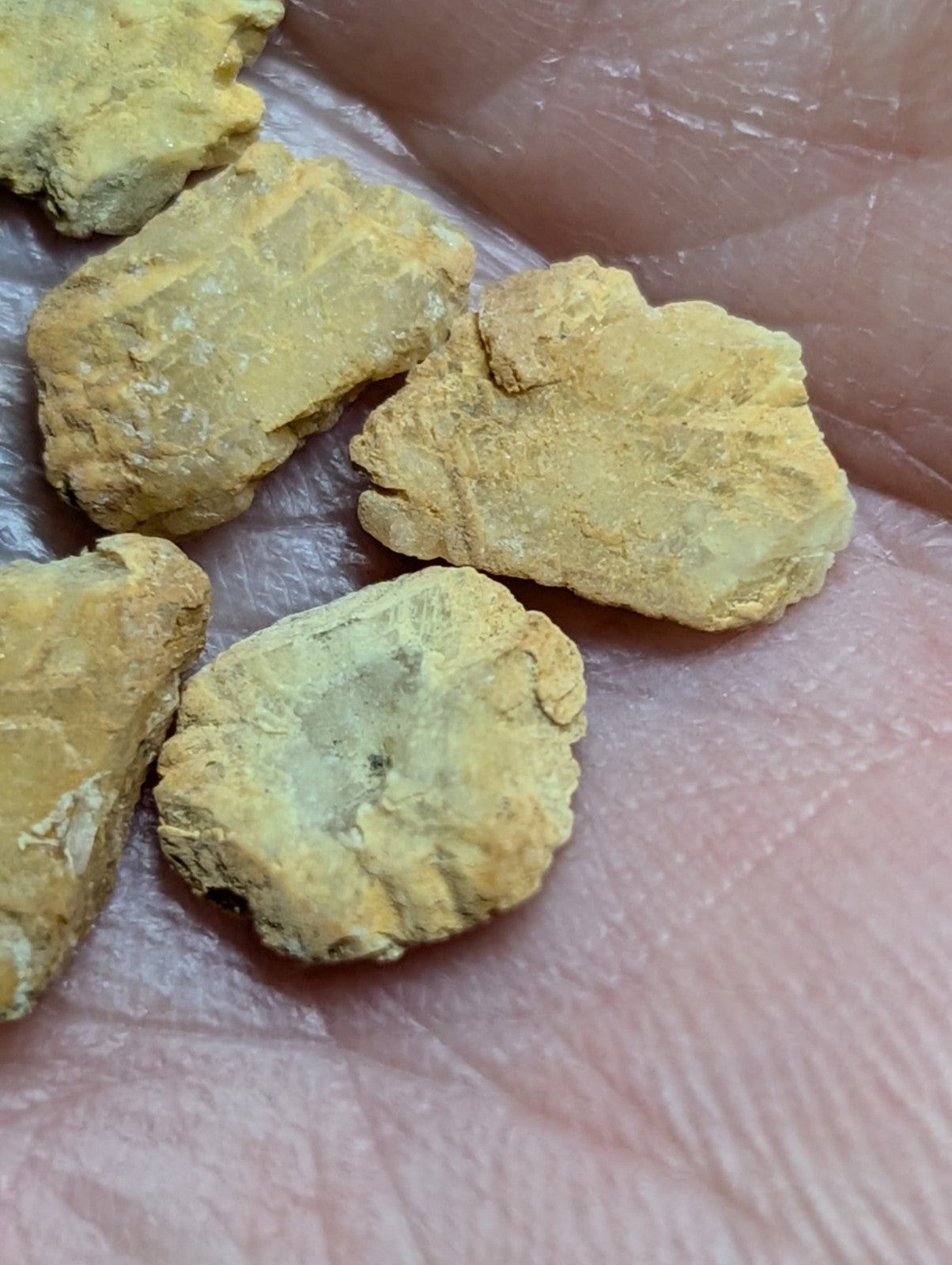Yellow, irregularly shaped mineral fragments resting in the palm of a hand.