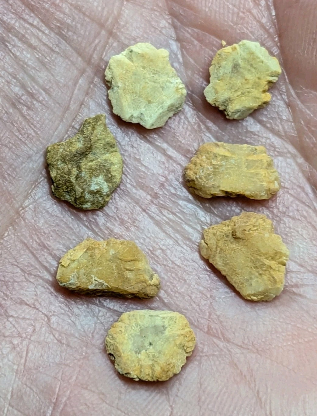 Several irregularly shaped, rough-textured chunks of yellowish-green mineral resting in the palm.