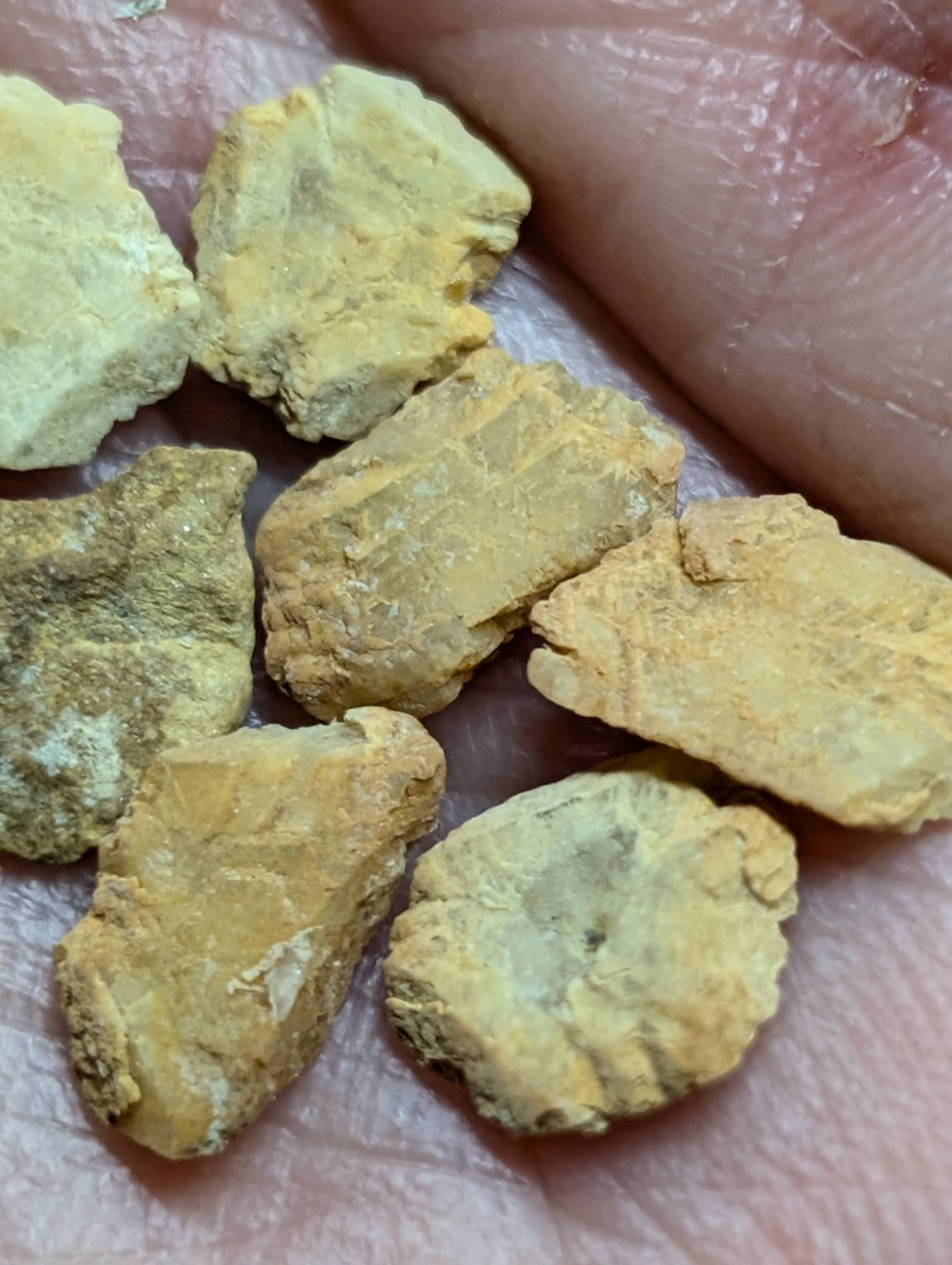 Yellowish, irregularly shaped mineral fragments held in a hand.