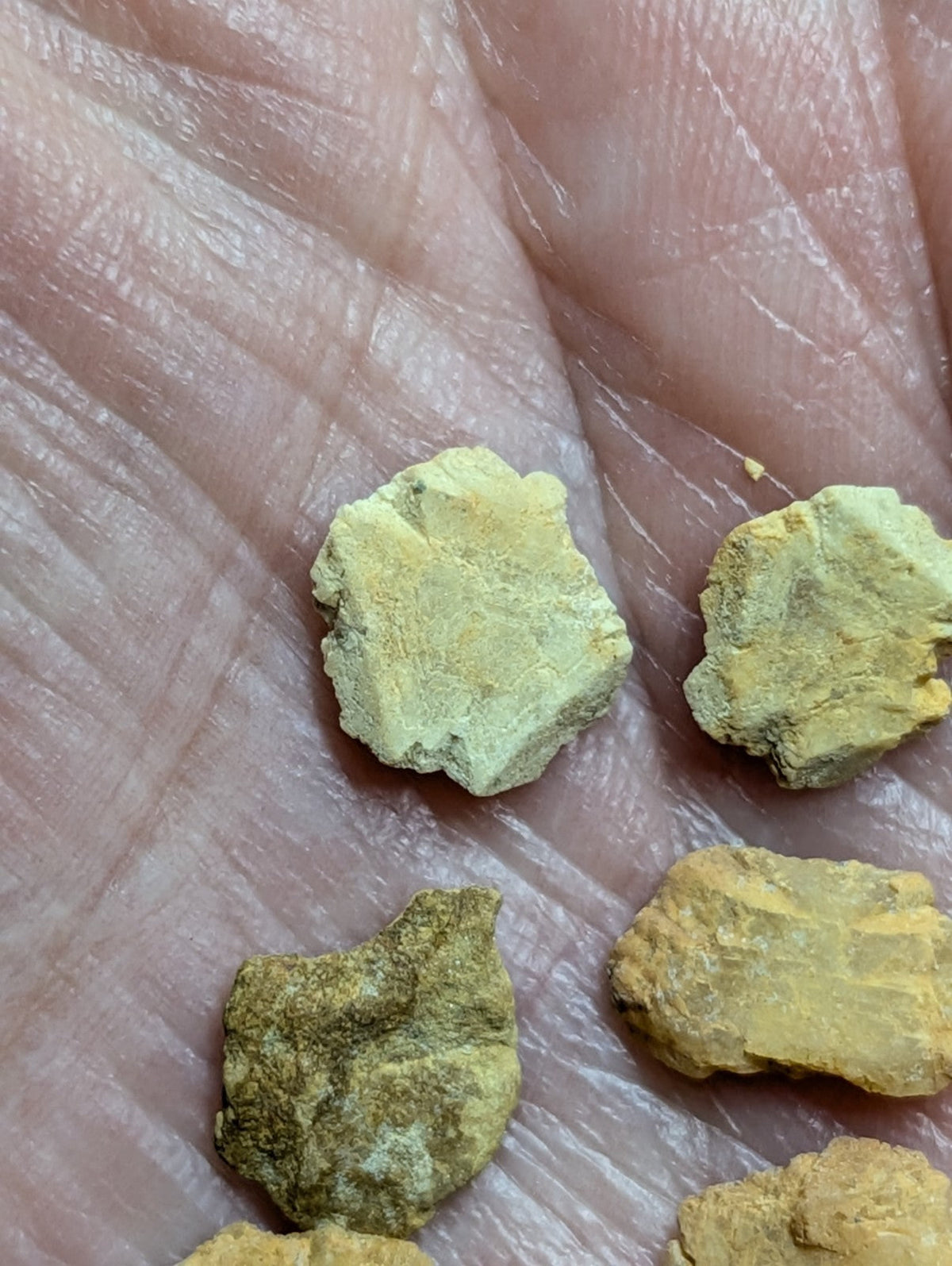 Yellowish-green, irregularly shaped mineral fragments resting in an open palm.