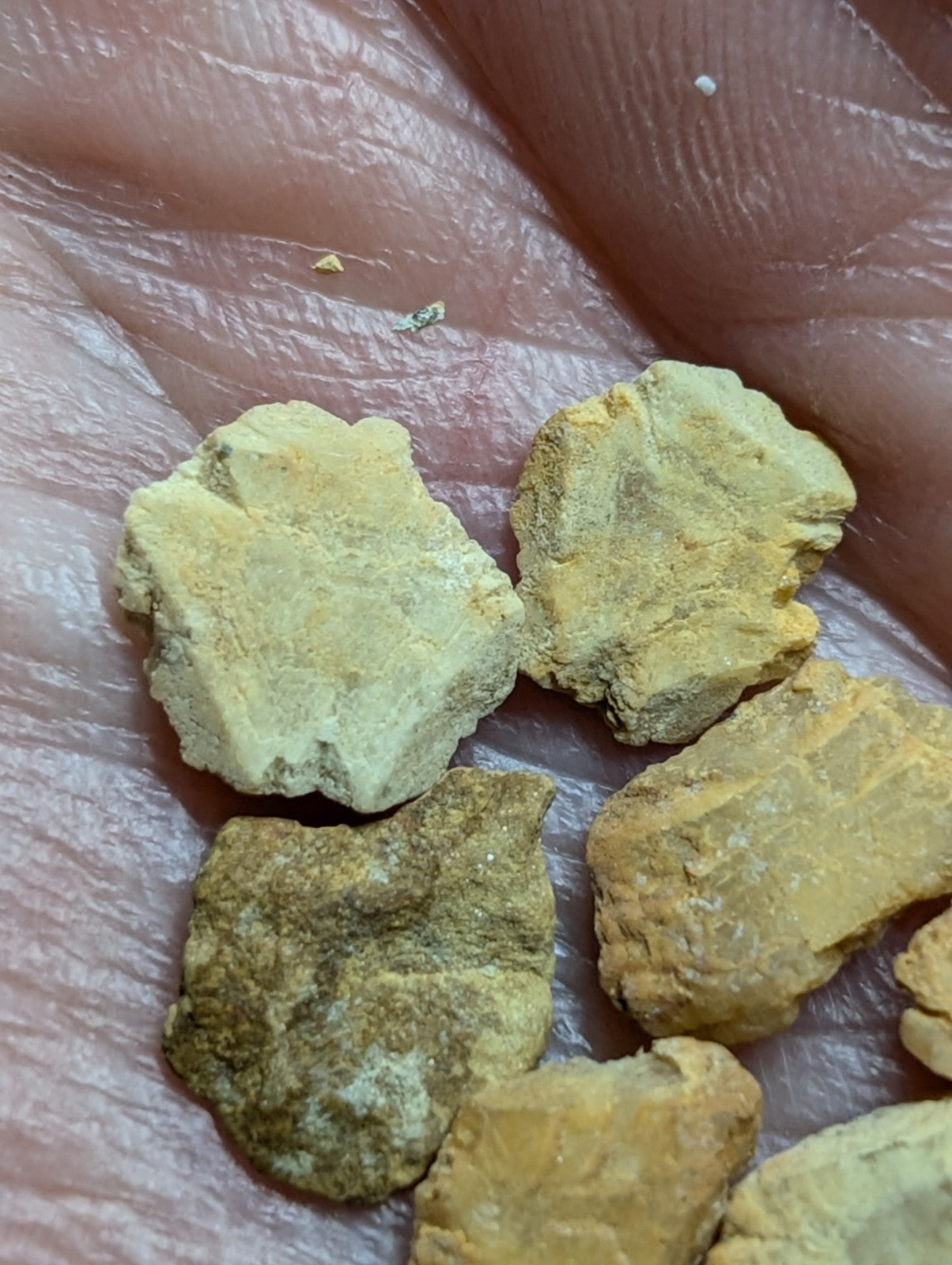 Yellowish, irregularly shaped mineral fragments resting in the palm.