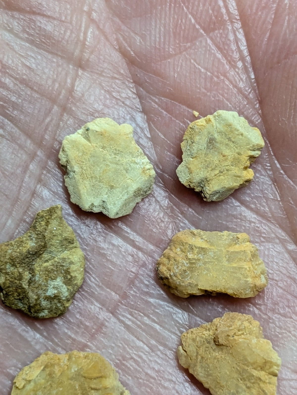 Yellowish-green, irregularly shaped mineral fragments resting on a hand.