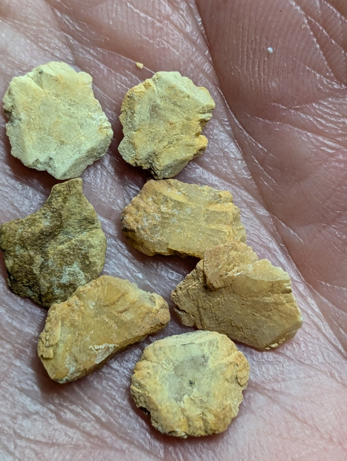 Yellowish-green, irregularly shaped mineral fragments resting in the palm.