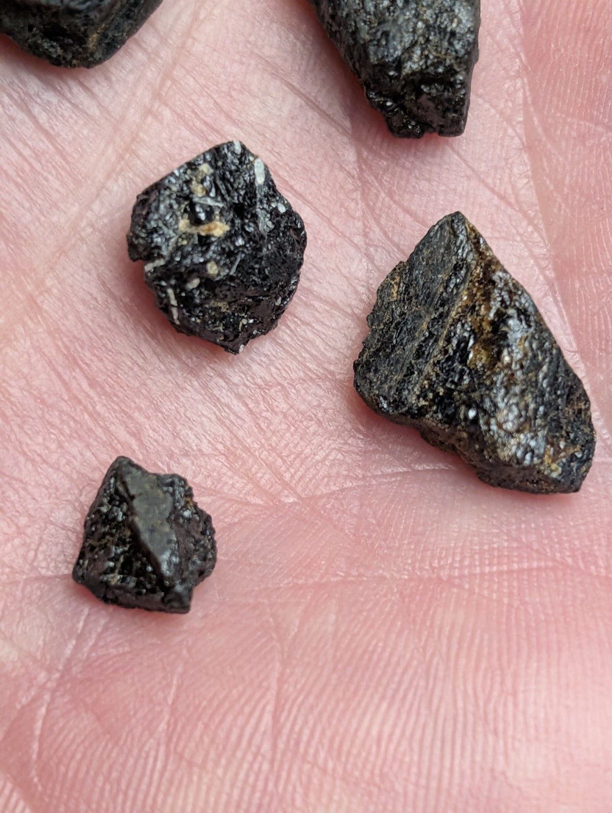Rare set of titanium-bearing garnets from magnet cove arkansas with black rough texture and golden metallic inclusions