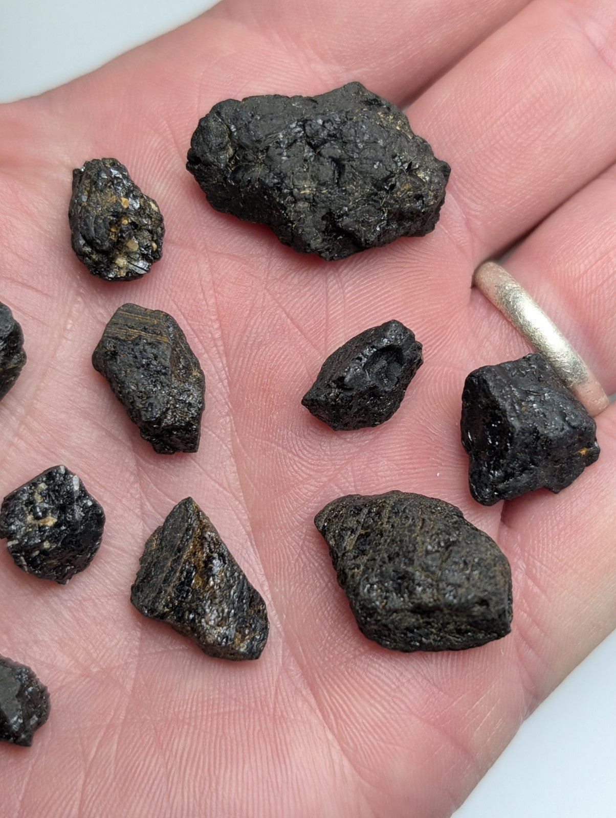 A hand holds a rare set of 10 titanium-bearing dark metallic garnets from Magnet Cove Arkansas with rough textures