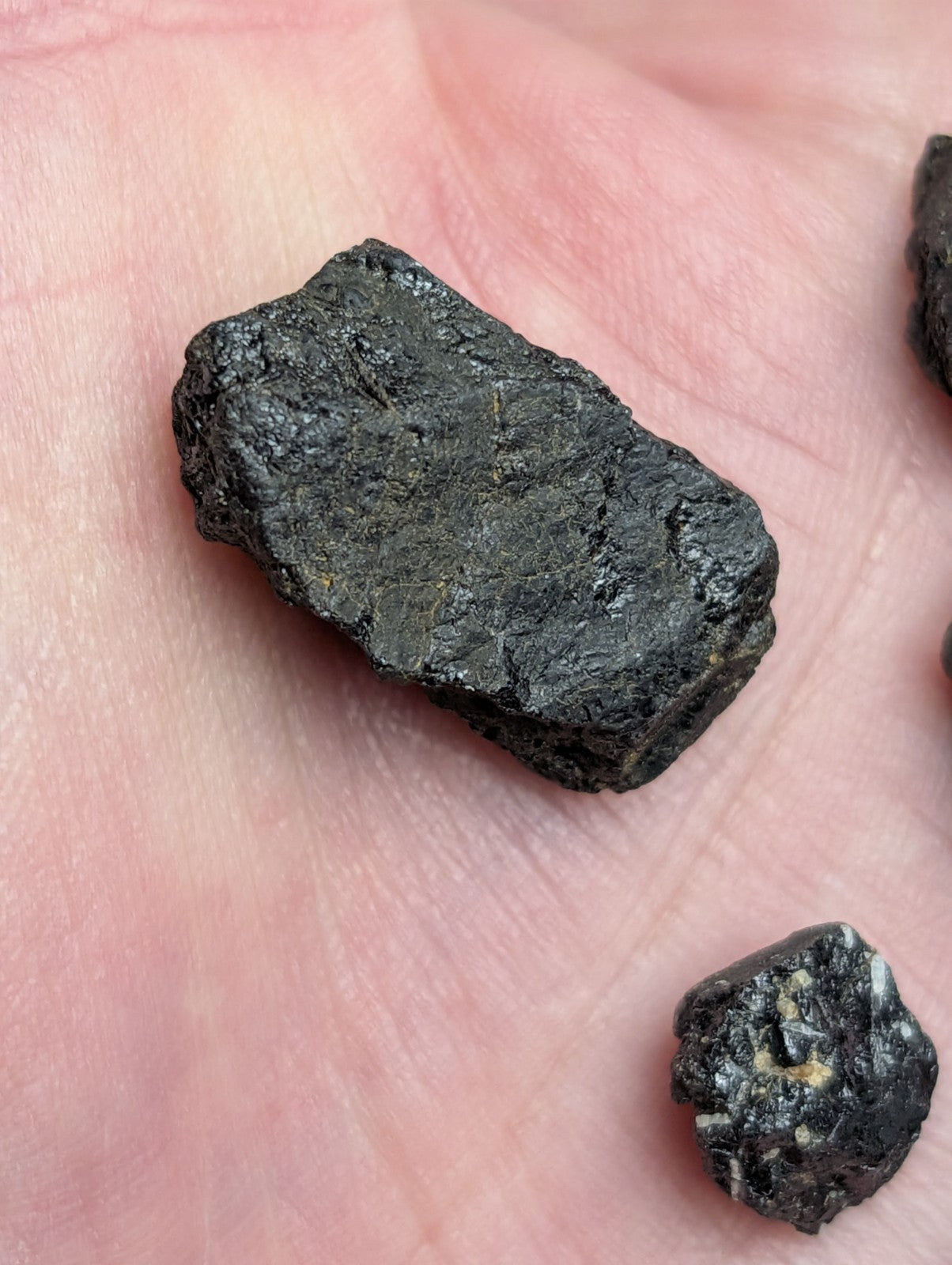 A dark rough-textured meteorite fragment with titanium-bearing garnets held in hand from magnet cove arkansas set of 10
