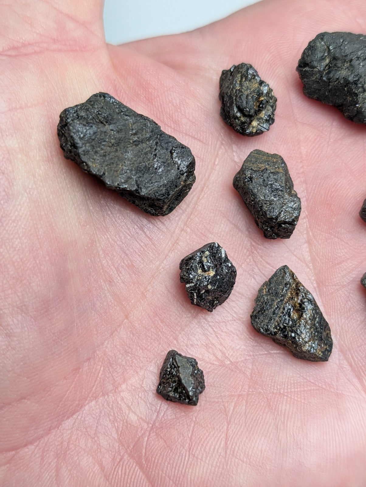 Rare set of 10 black rough textured titanium bearing garnet mineral specimens from magnet cove arkansas resting in a palm