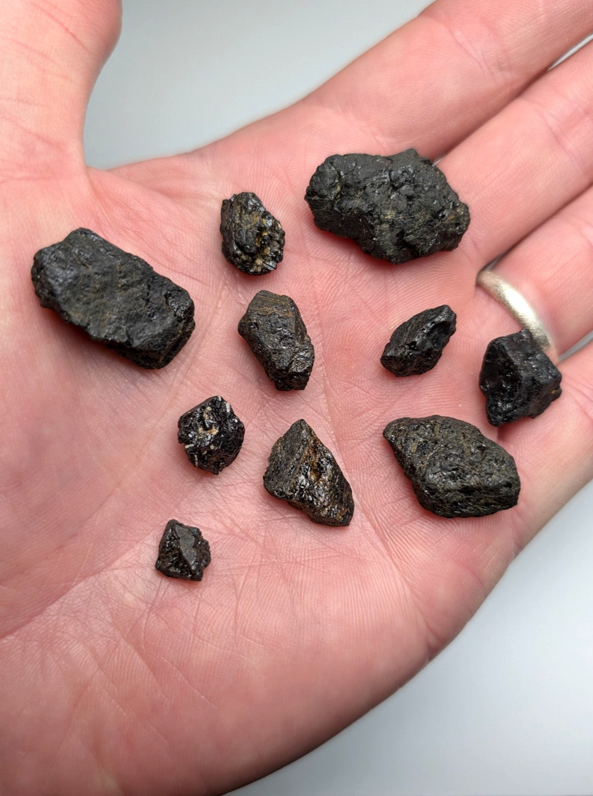 A collection of dark rough-textured titanium-bearing garnet meteorite fragments from magnet cove arkansas in an open palm