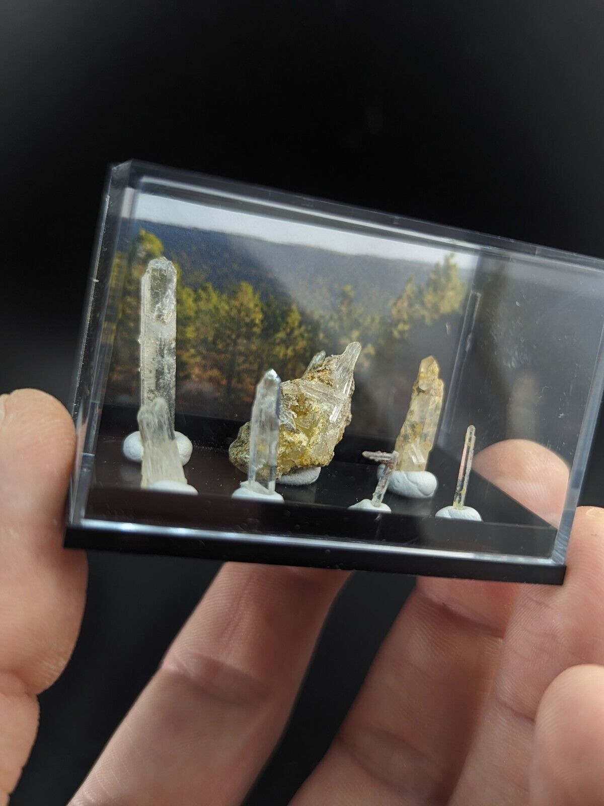 Rare Solution Quartz Crystals- Unique Set of 7 w/case - Jeffrey Quarry Arkansas - Collectibles:Rocks Fossils &