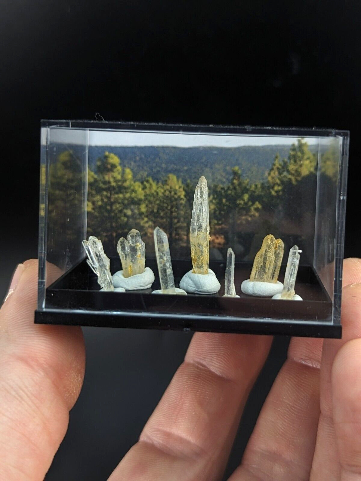 Rare Solution Quartz Crystals - Unique Set of 7 w/case- Jeffrey Quarry Arkansas - Collectibles:Rocks Fossils &