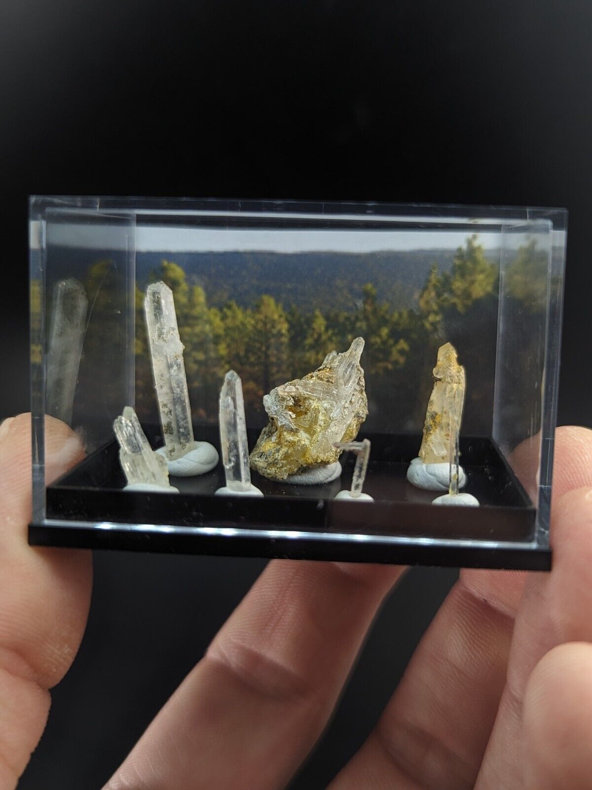 Rare Solution Quartz Crystals- Unique Set of 7 w/case - Jeffrey Quarry Arkansas - Collectibles:Rocks Fossils &
