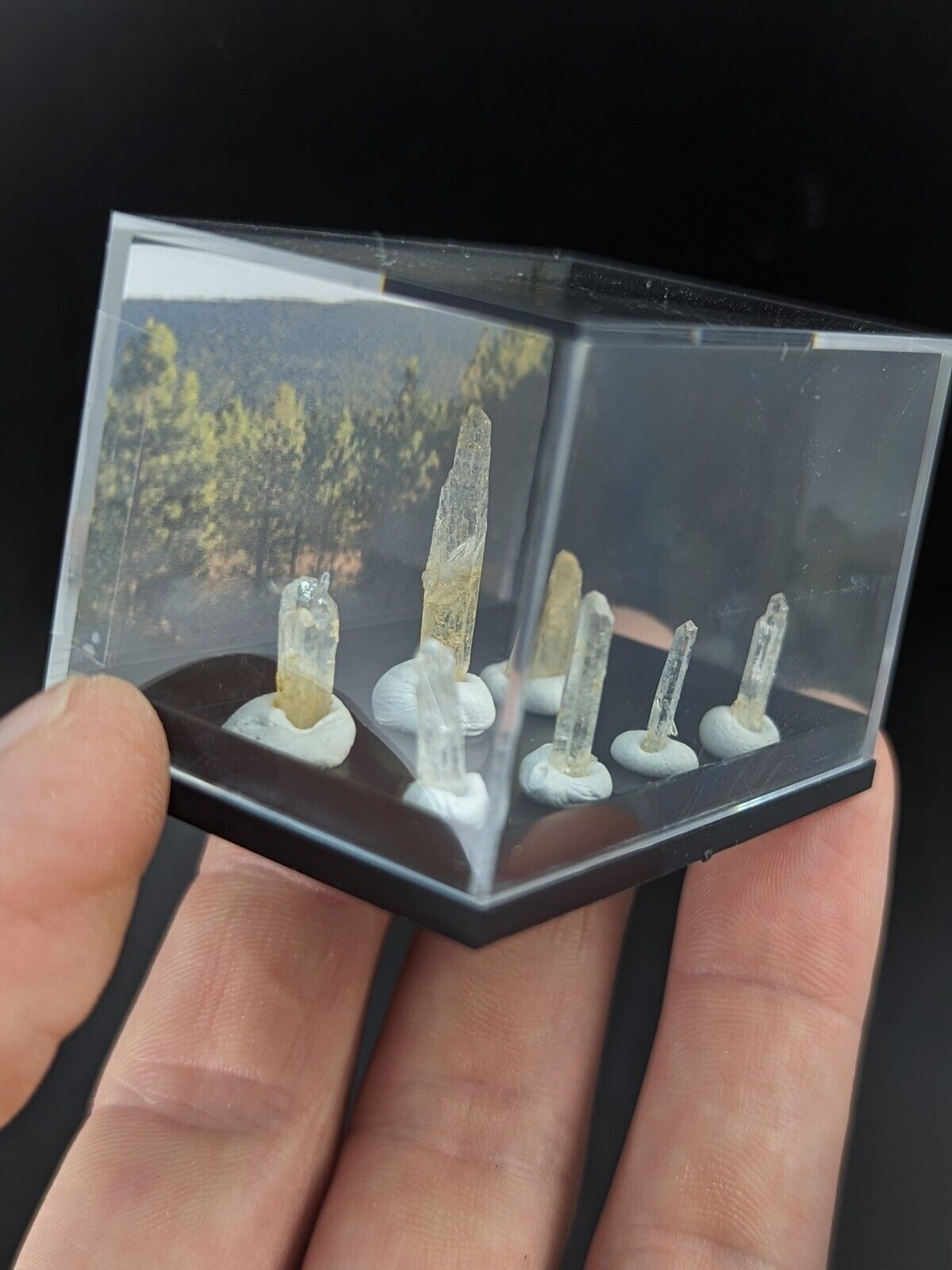 Rare Solution Quartz Crystals - Unique Set of 7 w/case- Jeffrey Quarry Arkansas - Collectibles:Rocks Fossils &