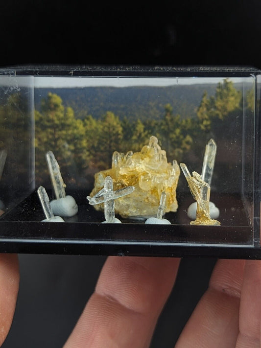 Rare Solution Quartz Crystals- Unique Set of 7 w/case- Jeffrey Quarry Arkansas - Collectibles:Rocks Fossils &