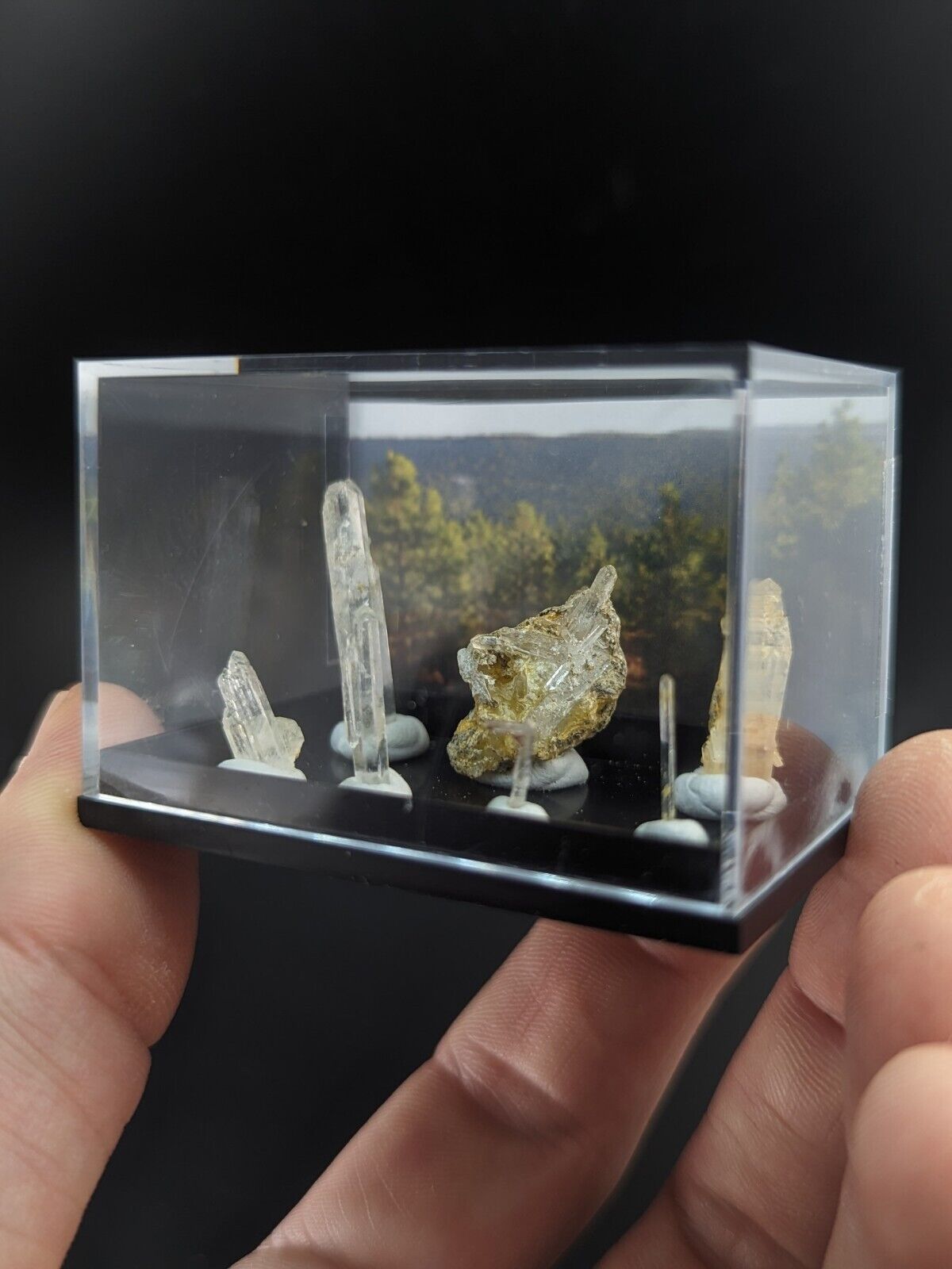 Rare Solution Quartz Crystals- Unique Set of 7 w/case - Jeffrey Quarry Arkansas - Collectibles:Rocks Fossils &