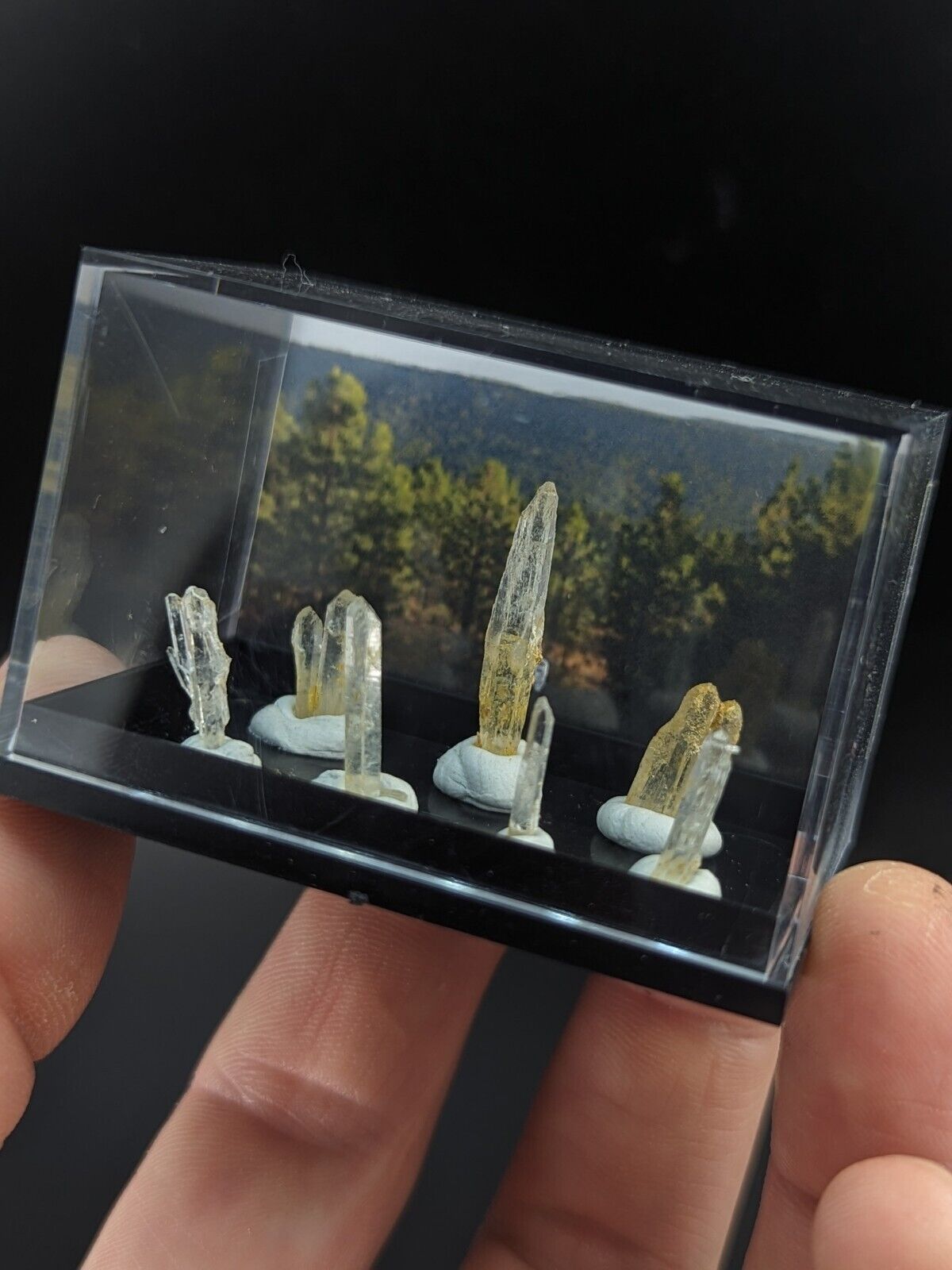 Rare Solution Quartz Crystals - Unique Set of 7 w/case- Jeffrey Quarry Arkansas - Collectibles:Rocks Fossils &