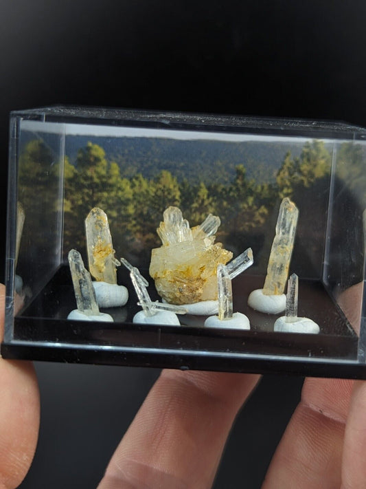 Rare Solution Quartz- Unique Set of 7 w/ case - Jeffrey Quarry Arkansas - Collectibles:Rocks Fossils &