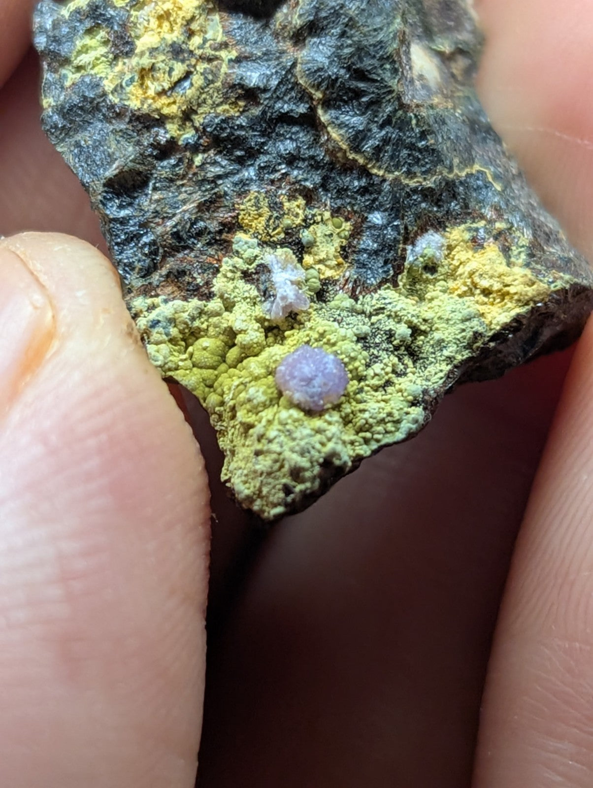 A dark, rough-textured rock specimen with patches of vibrant yellow and green mineral growths.
