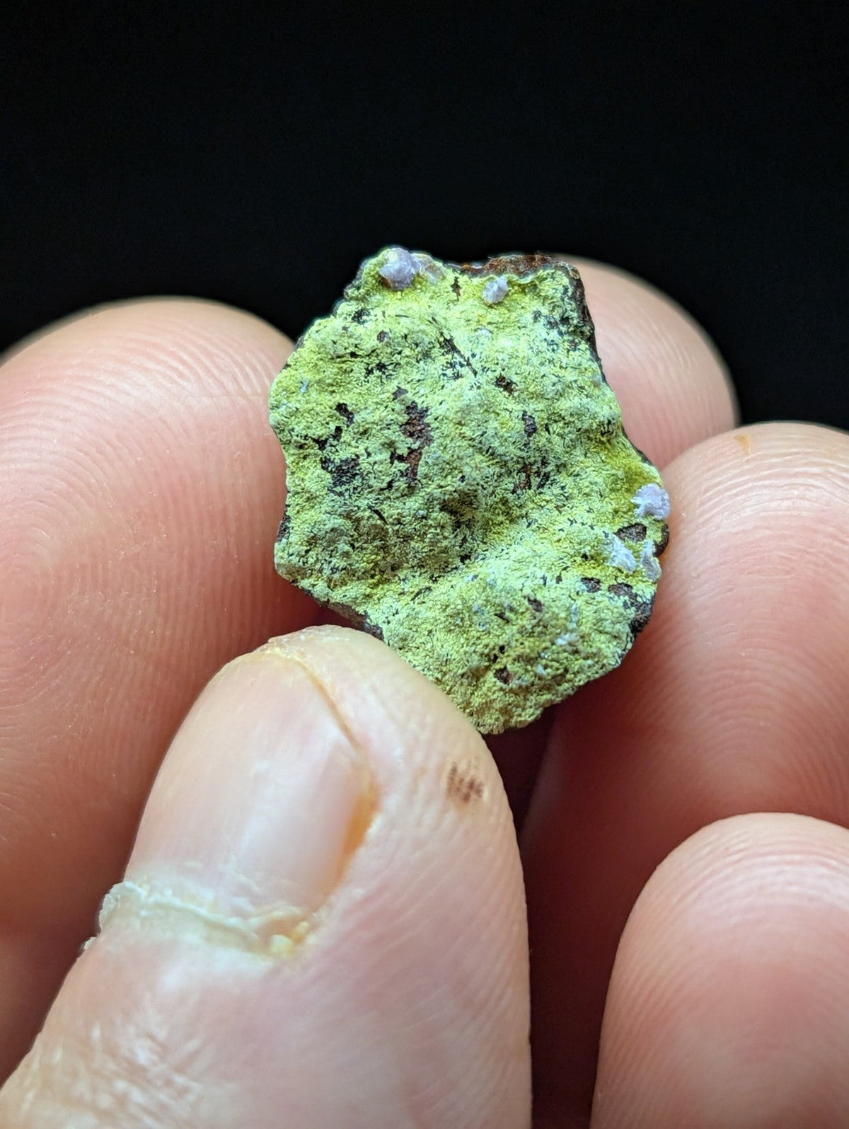 A weathered, irregularly shaped copper coin with a vibrant green patina and specks of purple oxidation.