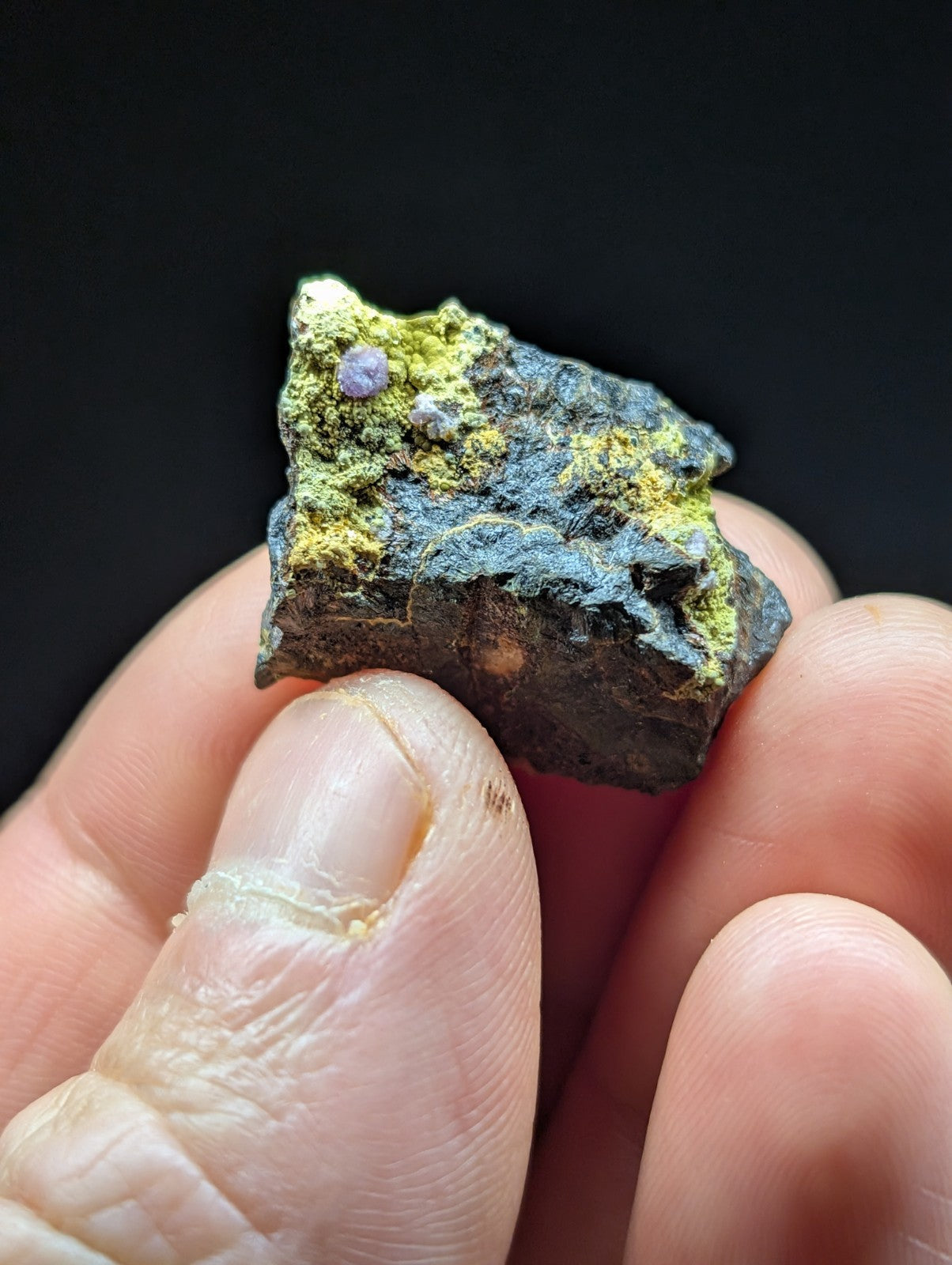 A rugged, dark mineral specimen with patches of vibrant yellow-green moss and a small purple crystalline inclusion.