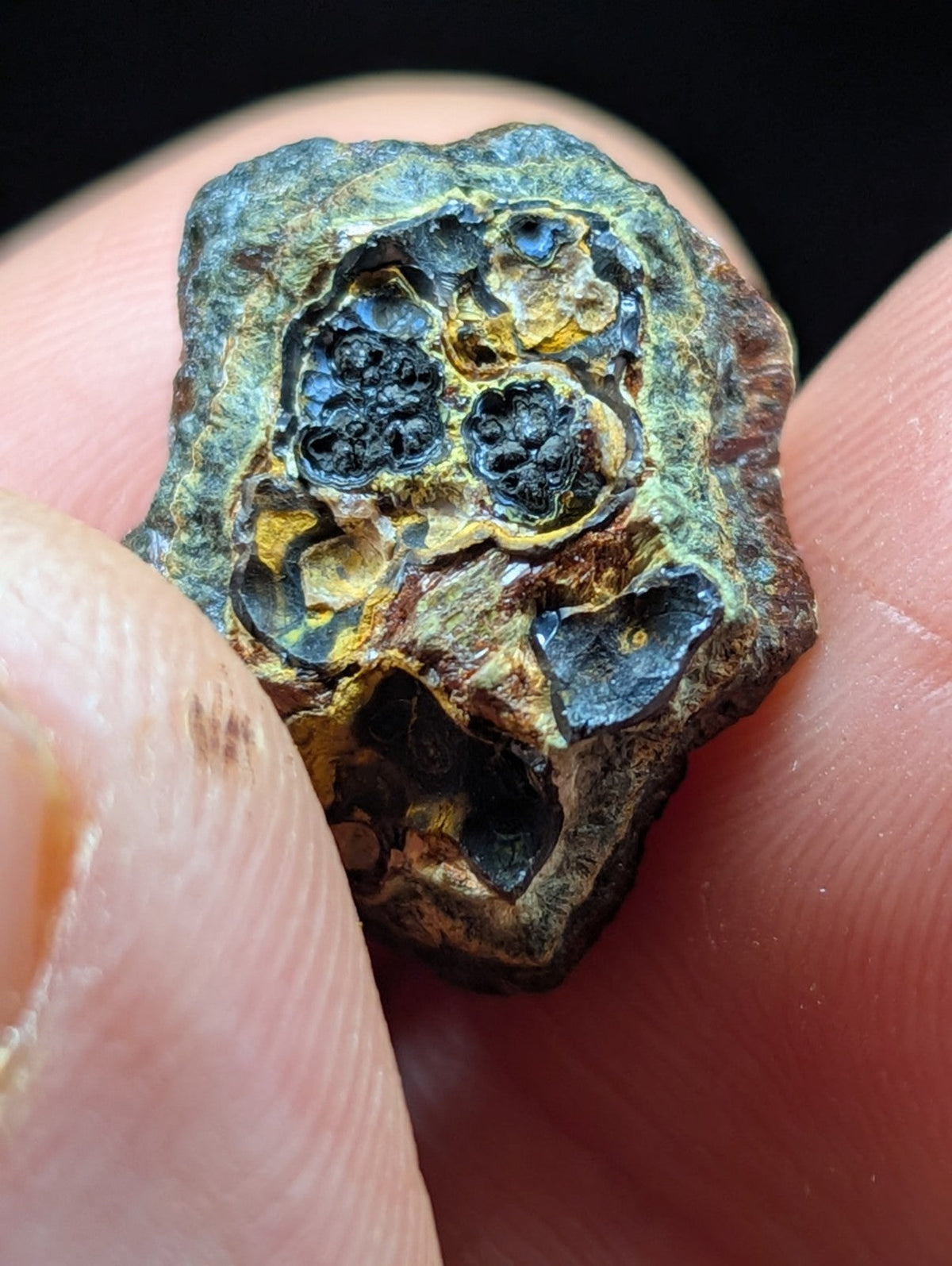 A rugged, irregularly shaped meteorite with a dark greenish-blue patina and intricate patterns of black, yellow, and brown mineral inclusions.