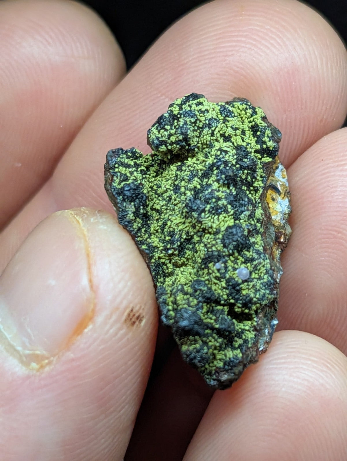A rough, irregularly shaped mineral specimen with a textured surface covered in vibrant green moss-like growth over dark, rocky base material.