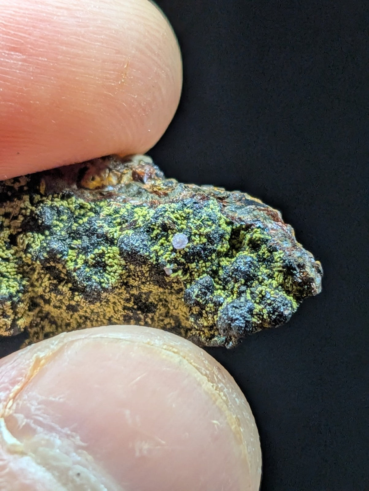 A textured, moss-covered rock with patches of vibrant green and dark gray lichen.