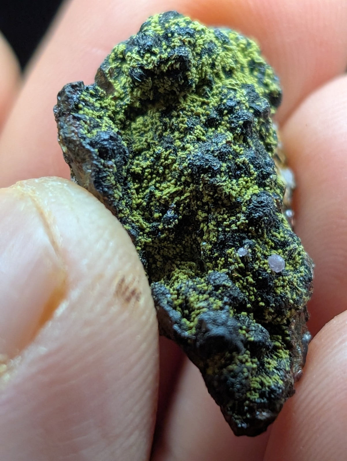 A rough, irregularly shaped mineral specimen with a textured surface covered in vibrant green moss-like growth over dark, almost black patches.