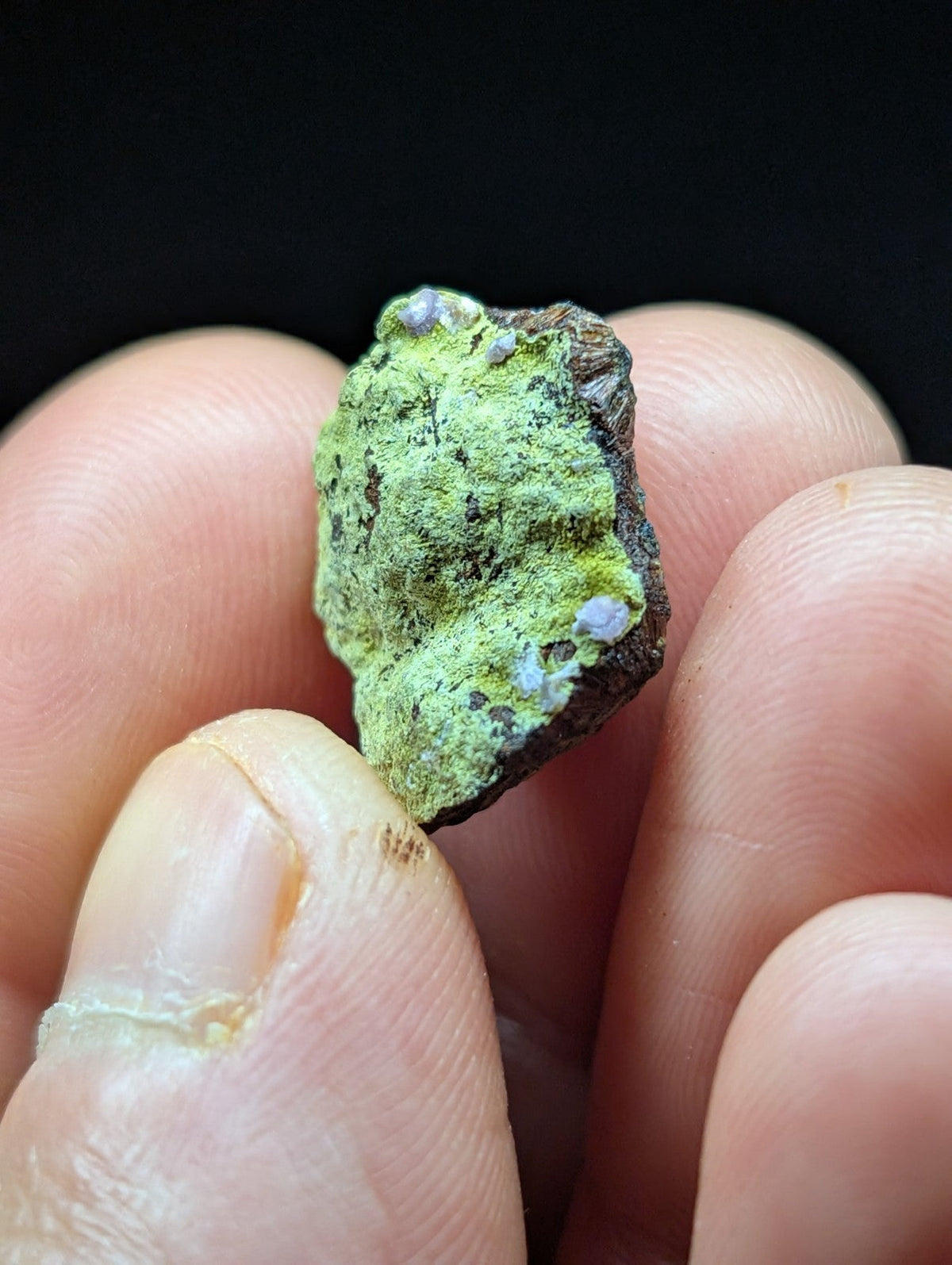 A small, irregularly shaped mineral specimen with a vibrant green patina and scattered purple crystalline spots on its dark brown base.