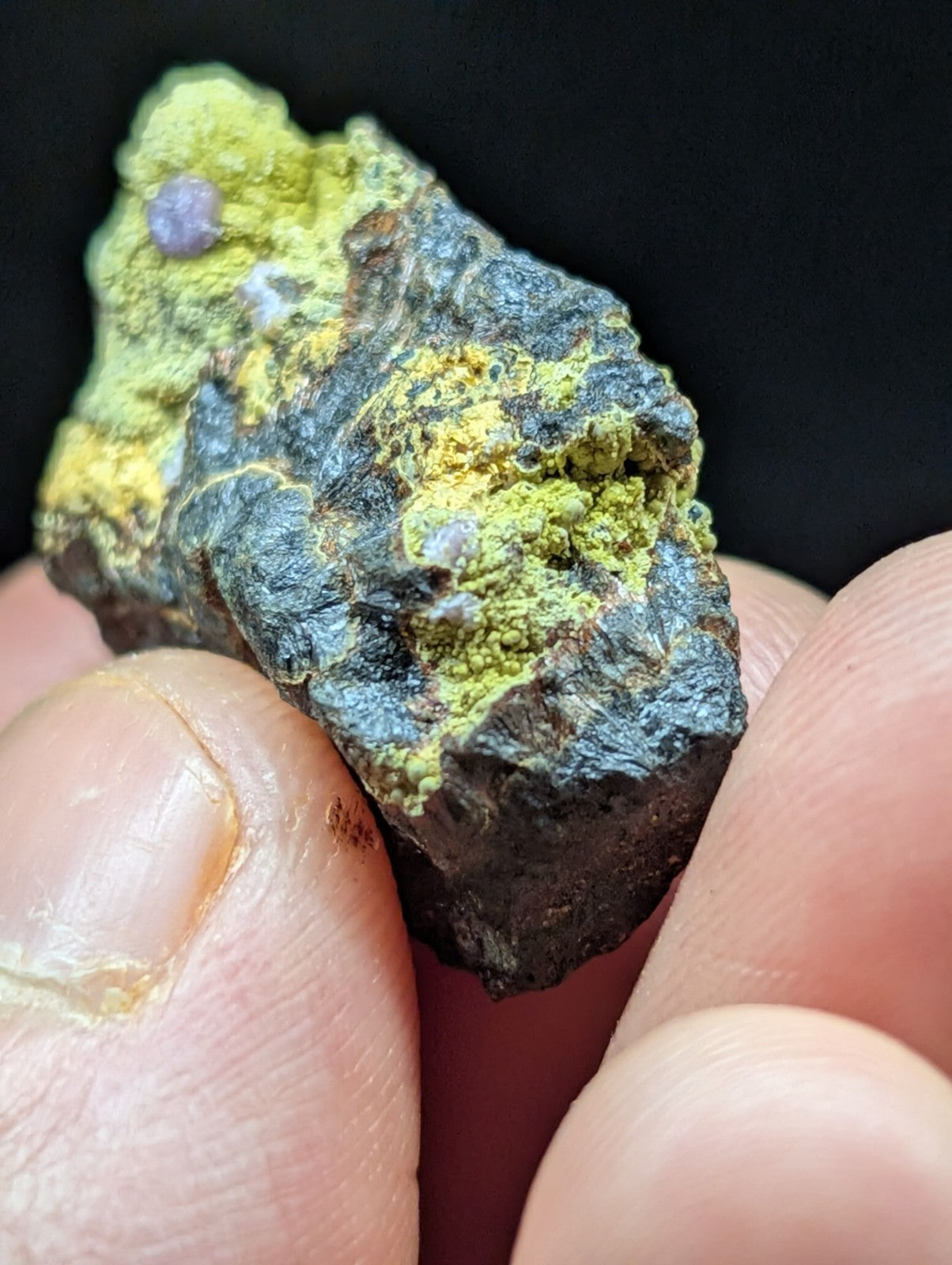 A rugged, irregularly shaped mineral specimen with a dark base and vibrant yellow-green patches, featuring small purple crystalline inclusions.