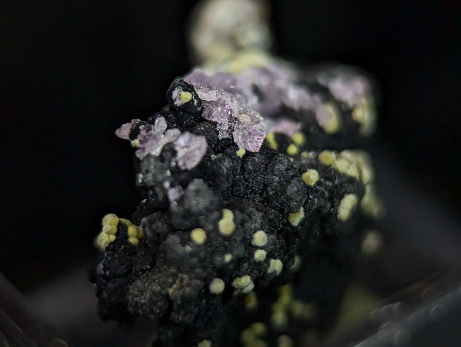 Rare Strengite and Kidwellite -Coon Creek Mine Polk County Arkansas Old Stock - Collectibles:Rocks Fossils &