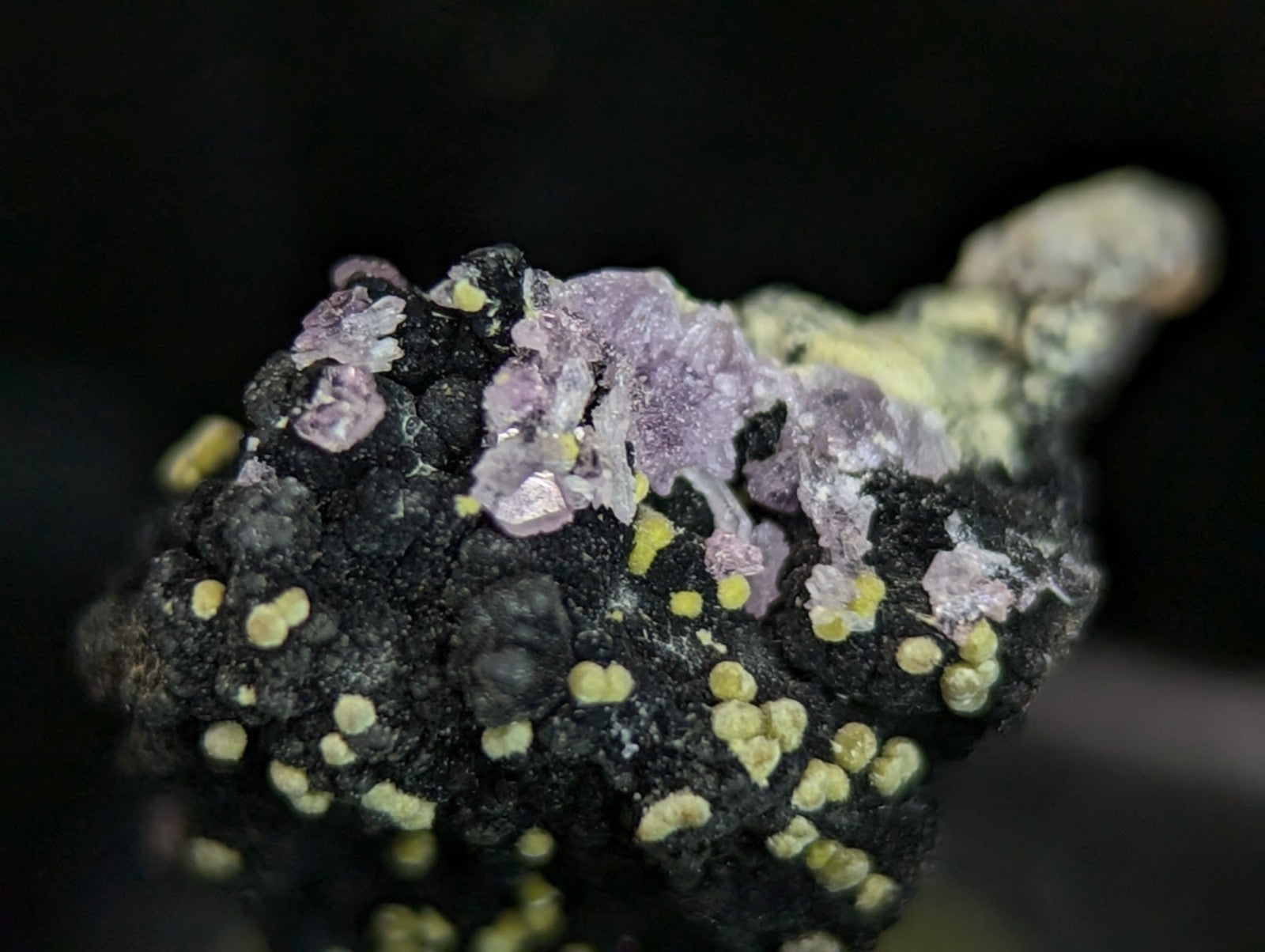 Rare Strengite and Kidwellite -Coon Creek Mine Polk County Arkansas Old Stock - Collectibles:Rocks Fossils &