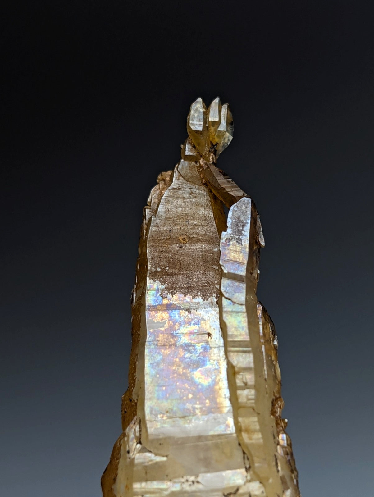 A rare translucent quartz crystal with golden hue and iridescent rainbow patterns from Garland County Arkansas