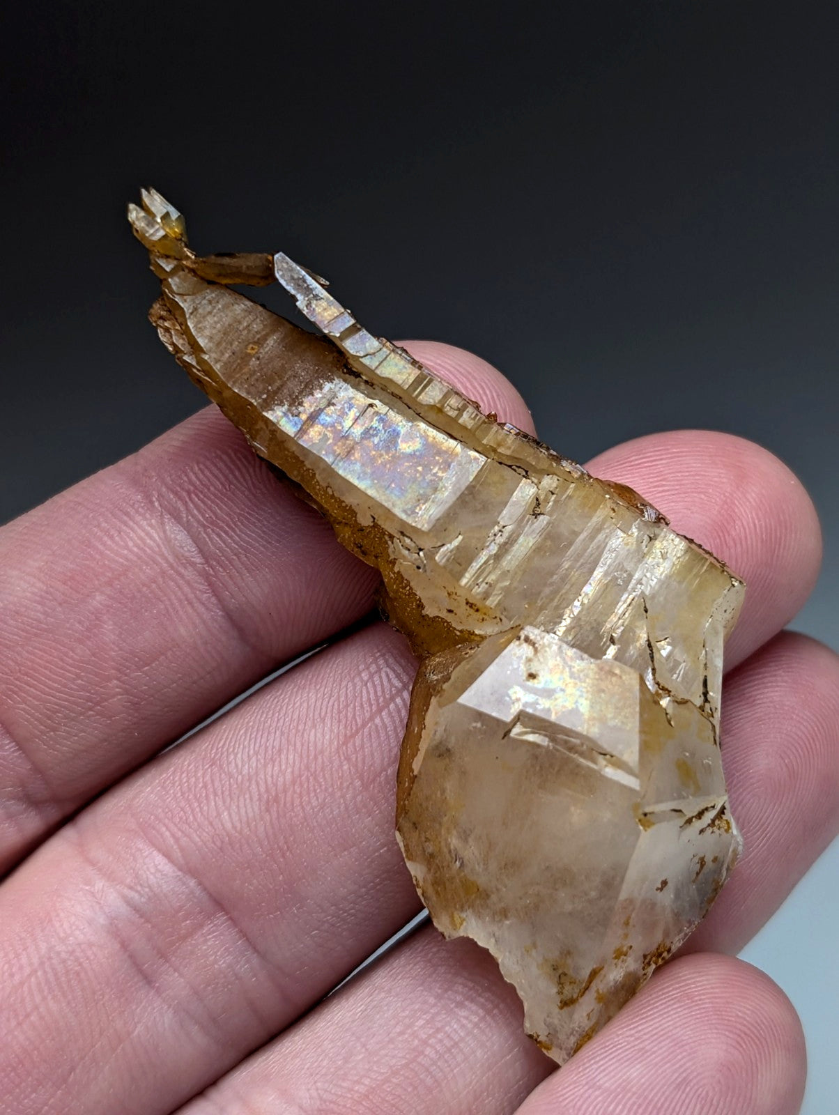 A translucent golden brown quartz crystal with iridescent facets held in a hand from Garland County Arkansas USA