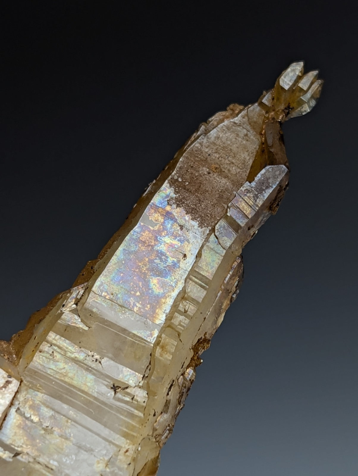 A translucent quartz crystal oddity with a golden brown base and iridescent reflections from Garland County Arkansas