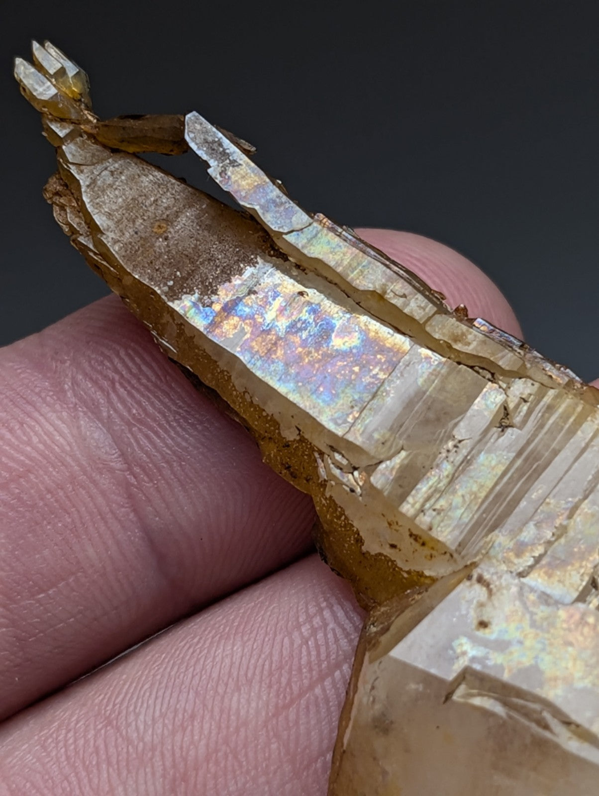 A golden-hued translucent quartz crystal with iridescent facets and jagged natural formation from Garland County Arkansas
