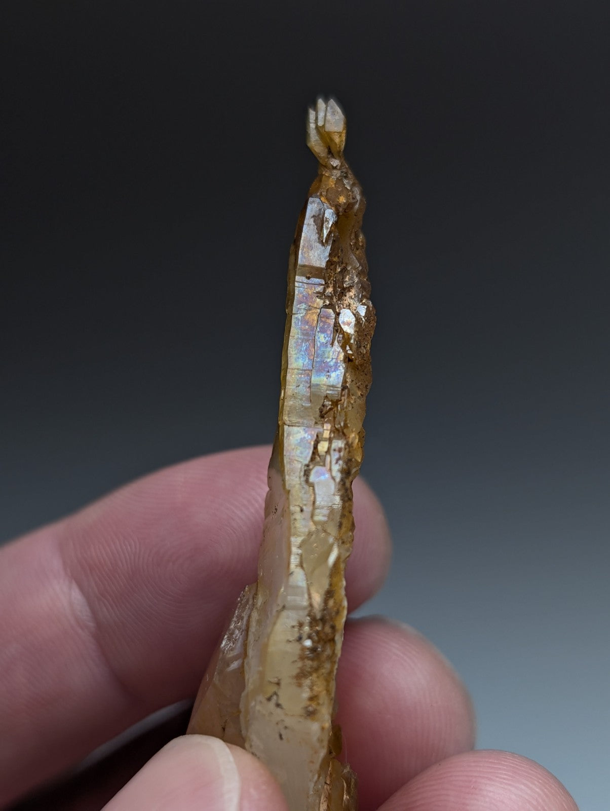 A rare and unique translucent amber quartz crystal with faceted elongated shape and natural inclusions from garland county arkansas