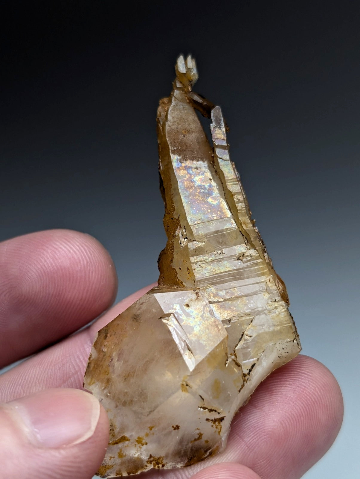 A translucent golden-brown quartz crystal with layered facets and iridescent reflections from Garland County Arkansas