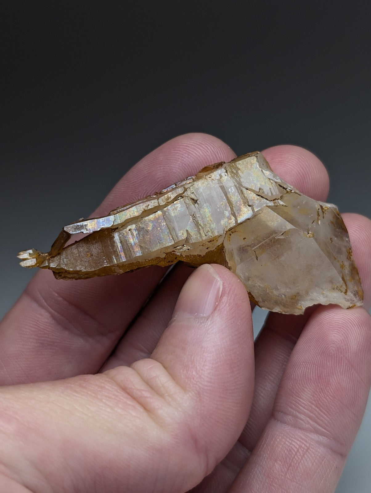 A rare translucent amber quartz crystal fragment with internal striations and jagged natural edges from garland county arkansas