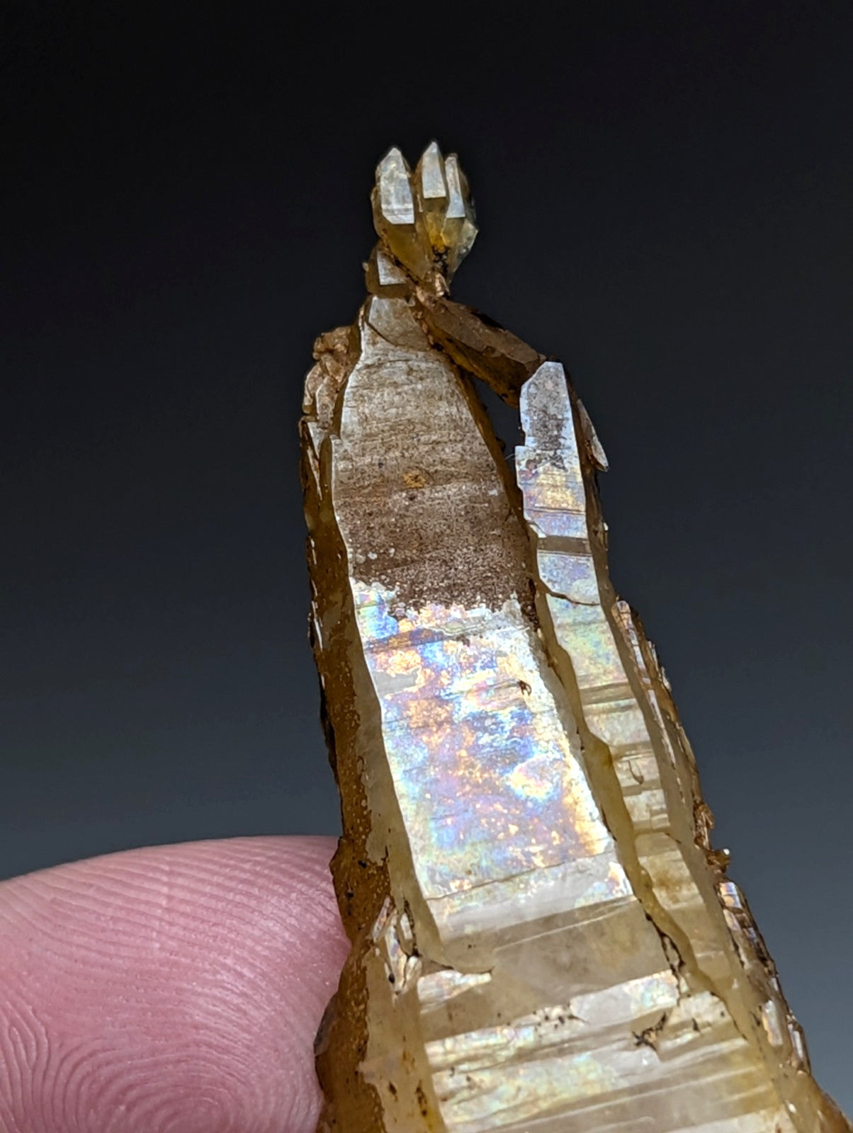 A rare and unique translucent golden-yellow quartz crystal with faceted layered structure and iridescent reflections from Garland County Arkansas USA