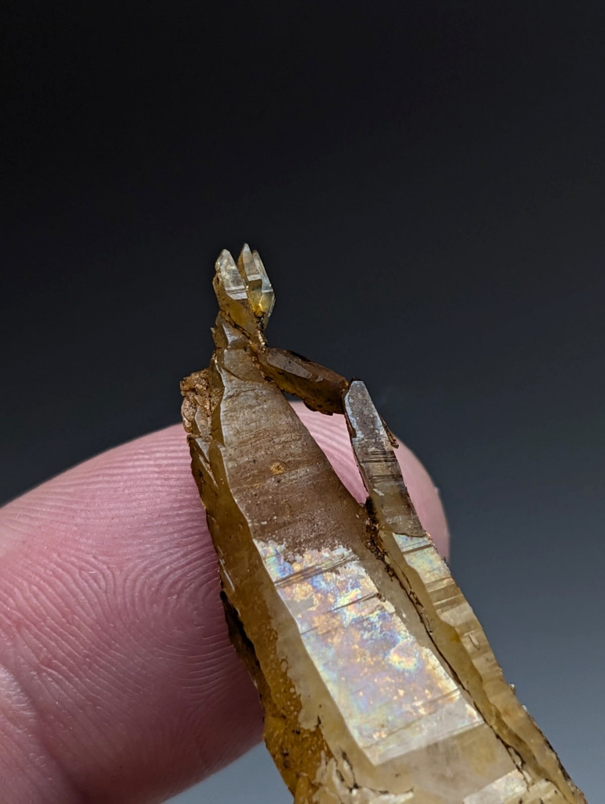 A translucent golden-yellow quartz crystal with faceted pointed top and iridescent reflections from Garland County Arkansas usa