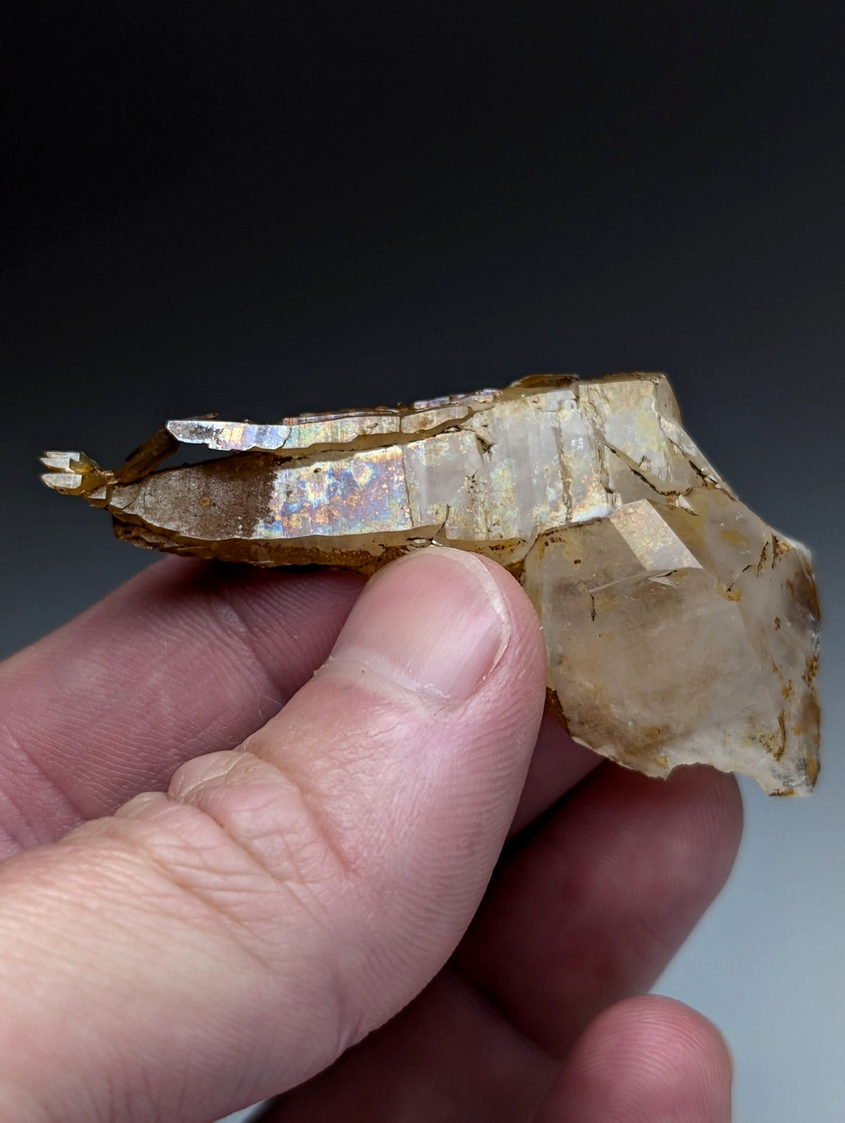 Rare and unique quartz crystal oddity with translucent golden hues and iridescent facets from garland county arkansas Usa