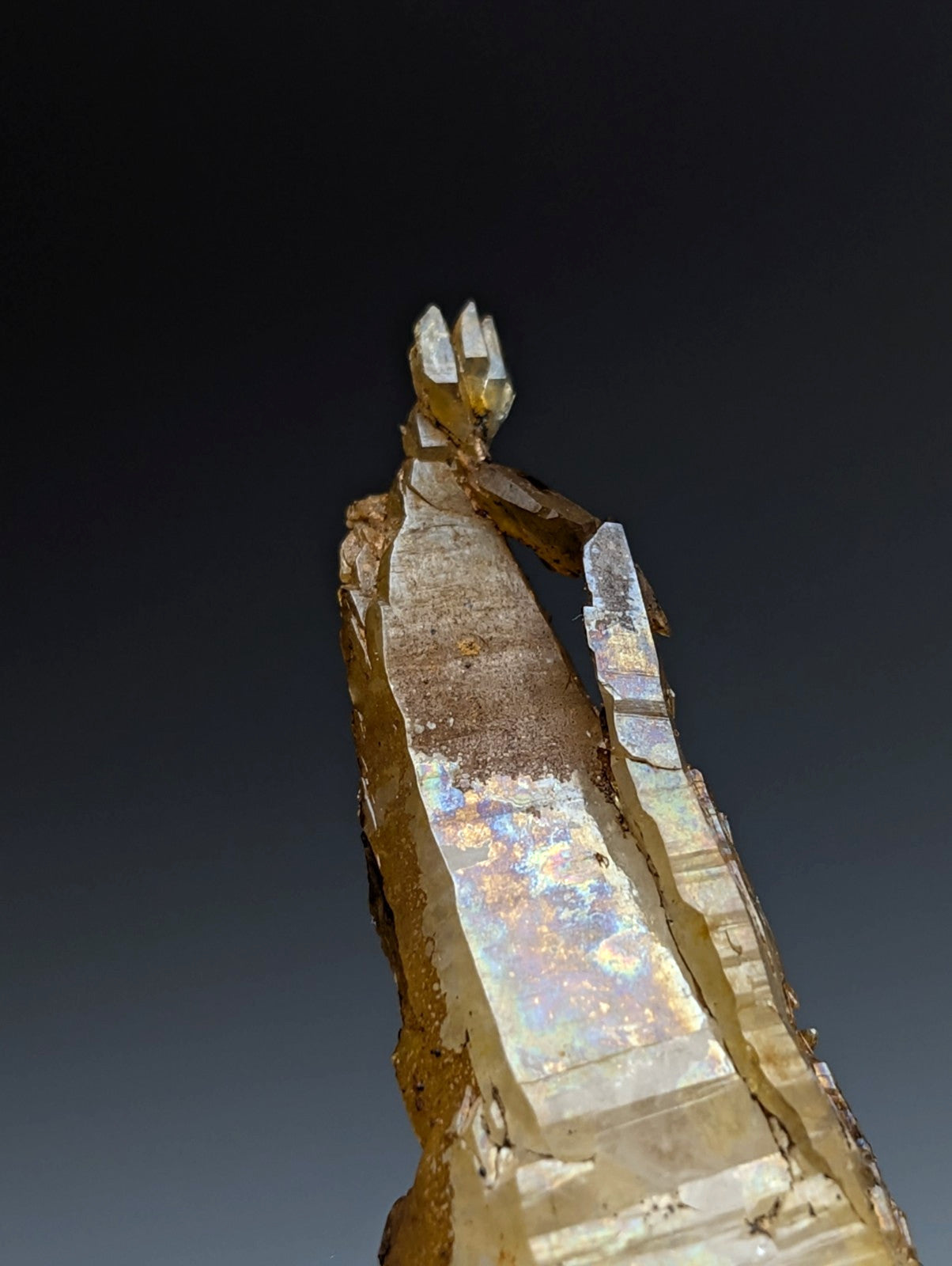 A rare translucent golden quartz crystal with faceted top and iridescent reflections from Garland County Arkansas