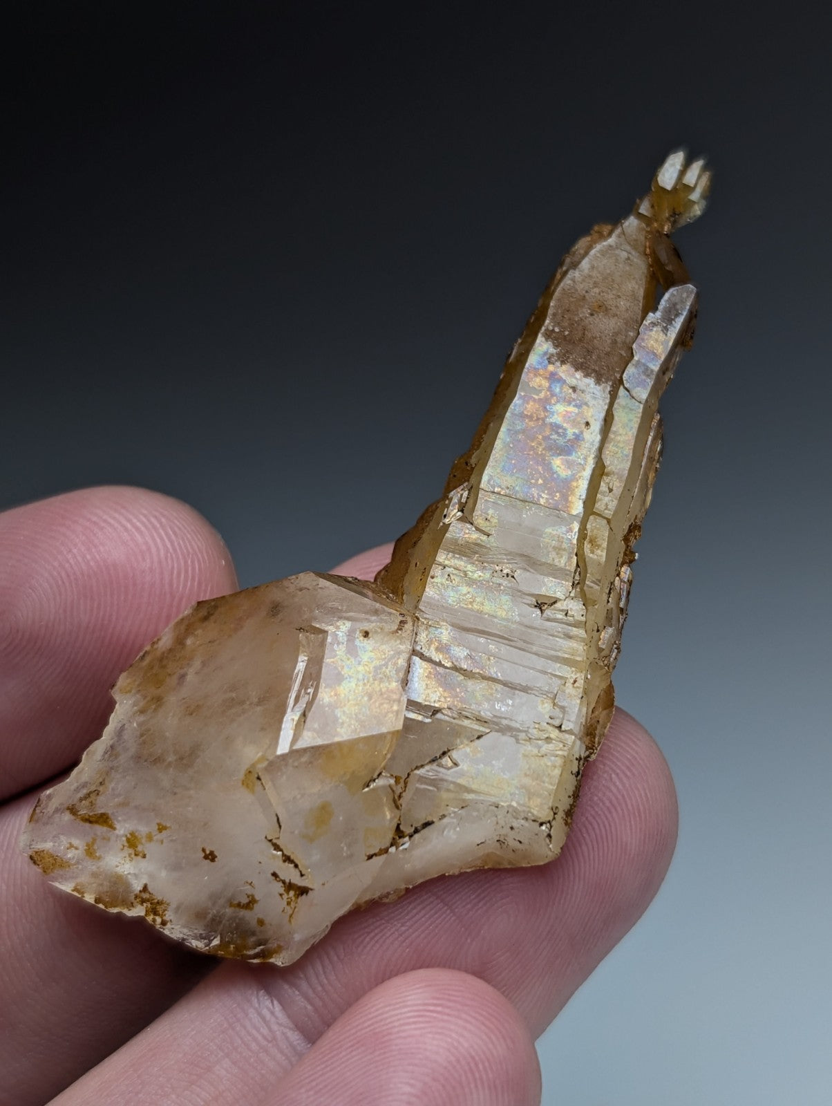 Rare and unique translucent golden-brown quartz crystal with pointed faceted tip and iridescent reflections from arkansas usa