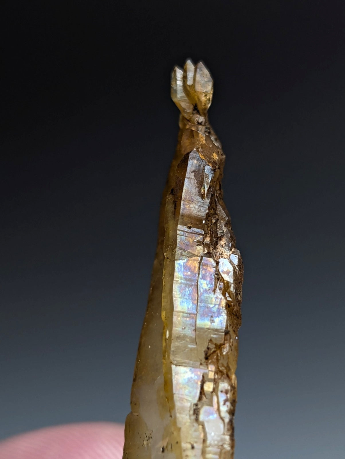 A translucent golden-brown quartz crystal with faceted iridescent surface and natural imperfections from Garland County Arkansas