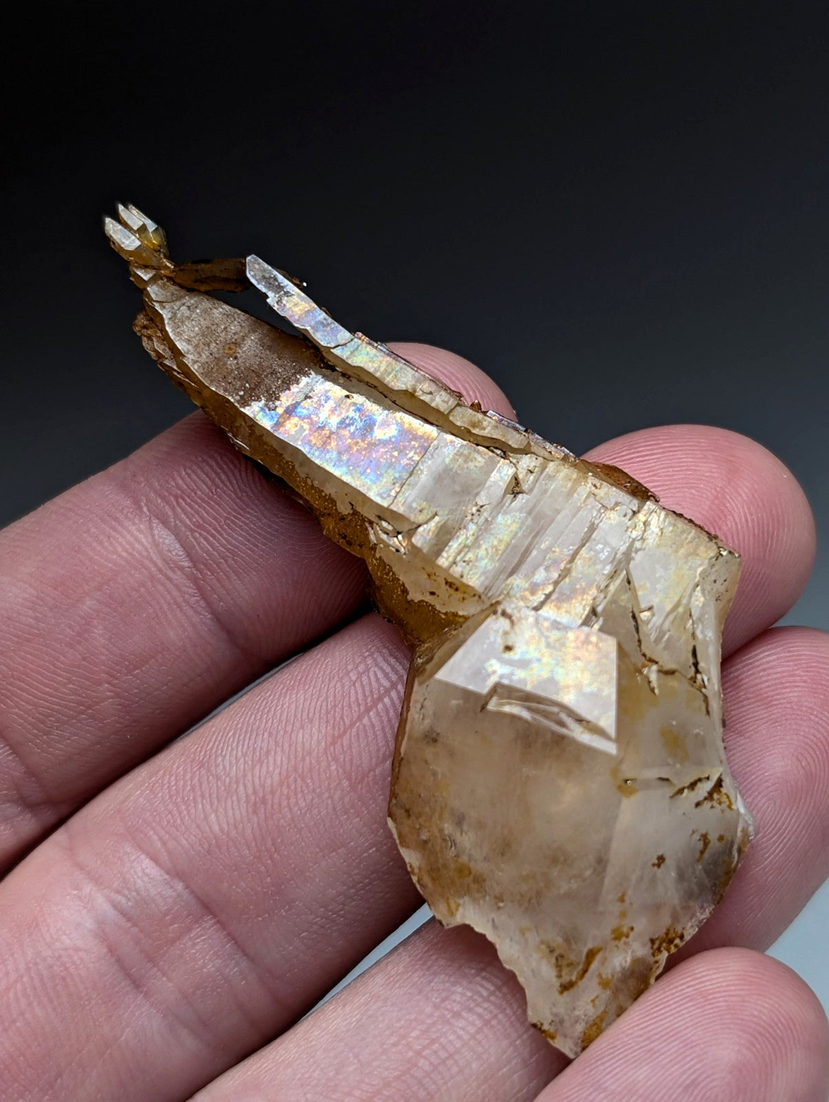 A translucent golden-brown quartz crystal with iridescent facets and mineral inclusions from Garland County Arkansas held gently