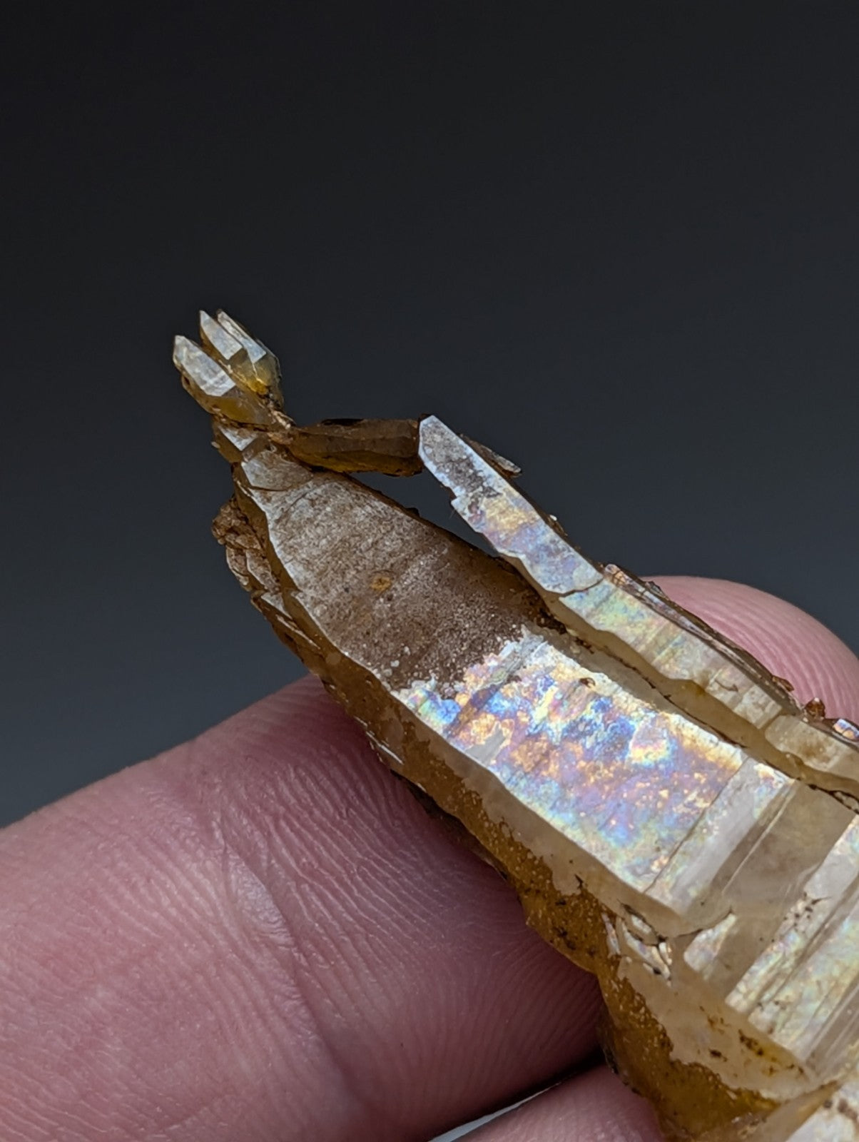 A rare and unique golden-hued translucent quartz crystal with iridescent facets from Garland County Arkansas USA