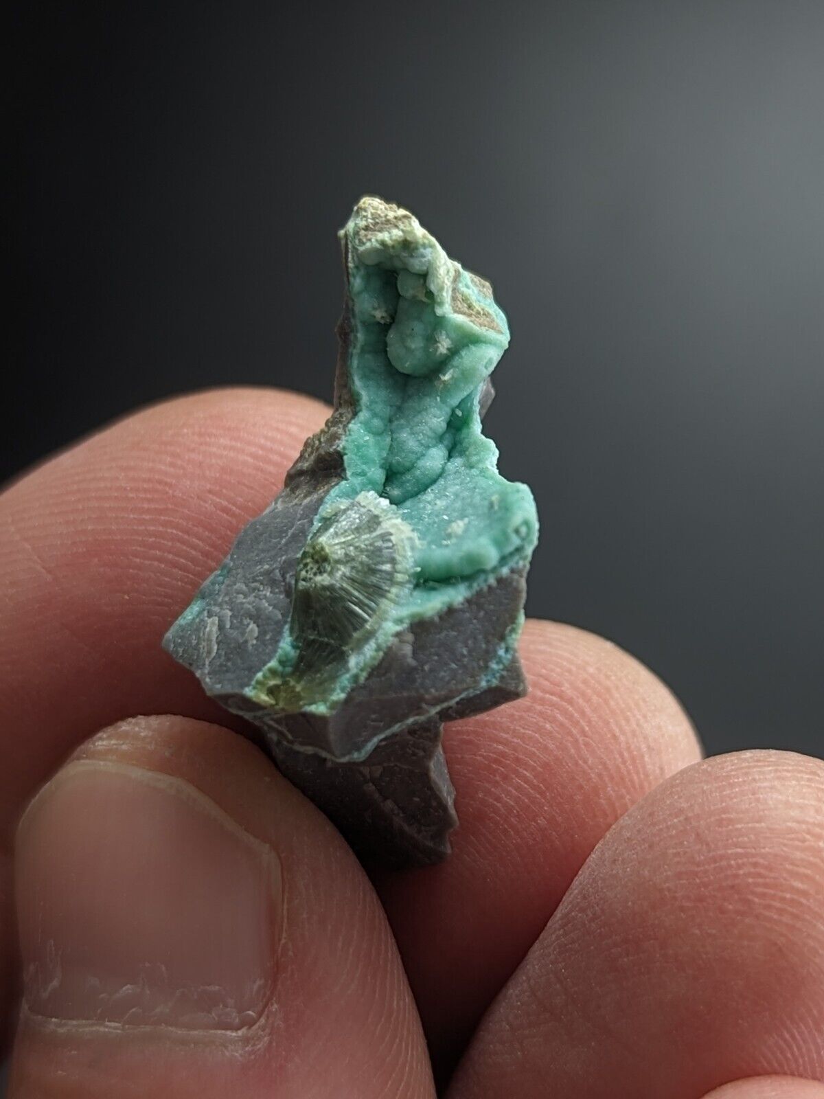 Rare Wavellite on Rashleighite Polk County Arkansas Old Stock ex Delinde - Collectibles:Rocks Fossils &