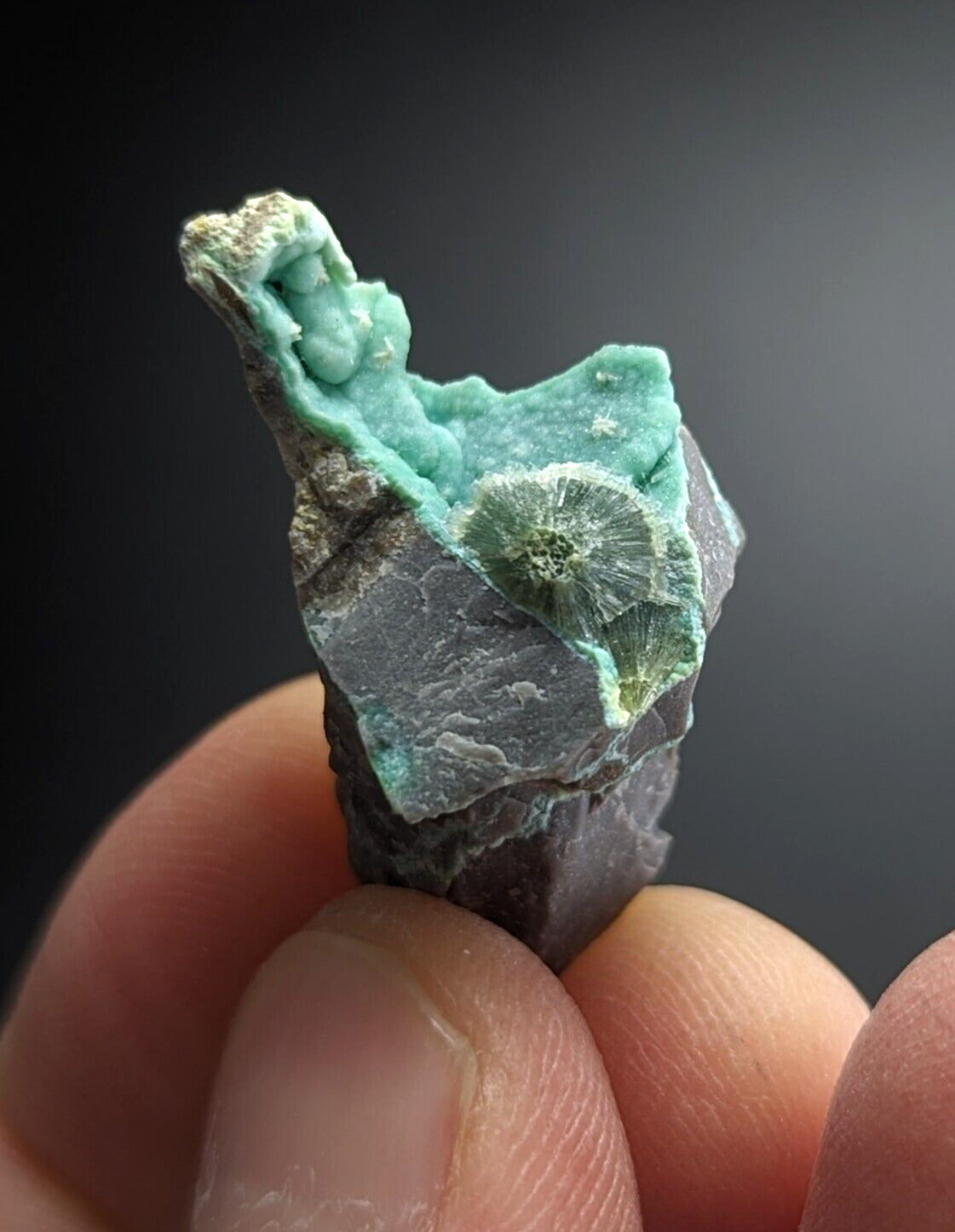 Rare Wavellite on Rashleighite Polk County Arkansas Old Stock ex Delinde - Collectibles:Rocks Fossils &